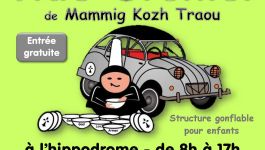 Vide-grenier de Mammig Kozh Traou GUERLESQUIN