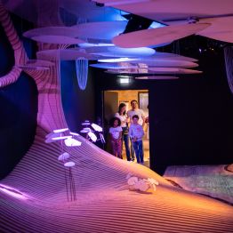 Musée immersif de la maison yves rocher La gacilly
