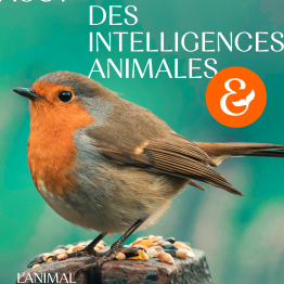 Les rencontres des intelligences animales Le guerno