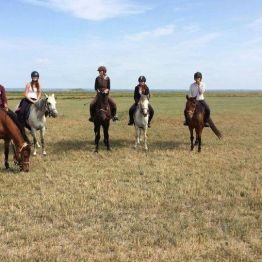 Balades à cheval Ploeuc LHermitage