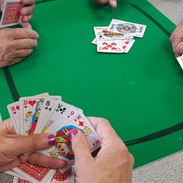 Initiation à la belote et autres jeux de cartes PLOUMAGOAR