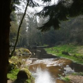 La Vallée du Faoudel 