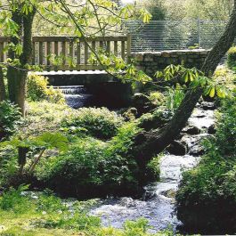 Jardin du Moulin Neuf 