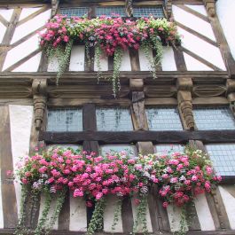 Maison des Archers 