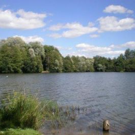 Etang de Bétineuc 