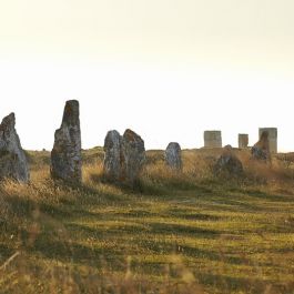 Les alignements mégalithiques de Camaret Sur Mer 