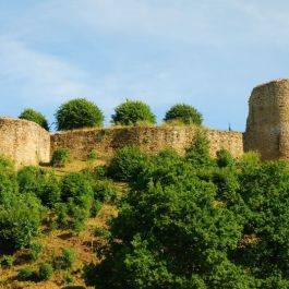 Château de Léhon 