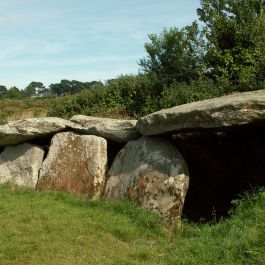 Allée couverte de Kerguntuil 