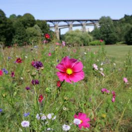 Le Jardin de la biodiversité 