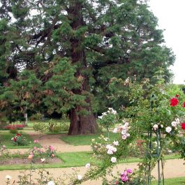 Parc et Roseraie de Ty Coat 