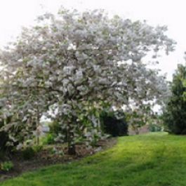 Parc des Rhodogîtes du Goëlo 