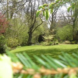 Le Jardin des Mélanges 