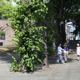 Parc des promenades & aire de jeux 