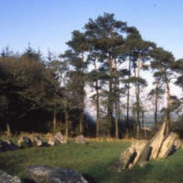 Commune du patrimoine rural de Bretagne de Le Quillio 