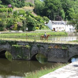 Pont du Moulin du Roy 