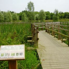 Parc de l\An 2000 