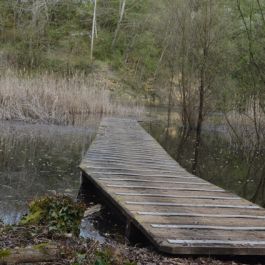 Espace naturel sensible de la Hazardière 