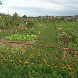 Potager médiéval Herbarius 