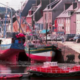 Port de pêche de Camaret-sur-Mer 