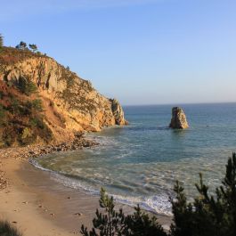 Plage du Portzic 