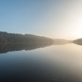 Lac de Guerlédan 