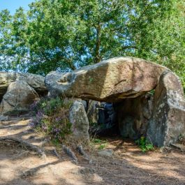 Les Dolmens de Mané-Braz 