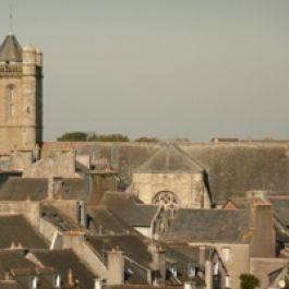 Collégiale Notre-Dame-du-Roncier 