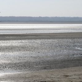 Marais de Beaussais 