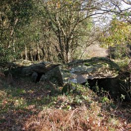 Dolmen du Champs Grosset 