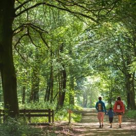 Forêt Départementale d\Avaugour-Bois Meur 