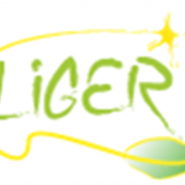 Liger 