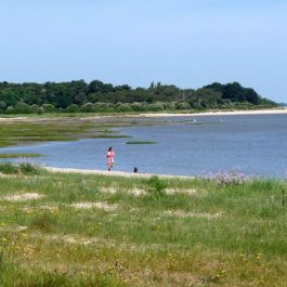 Plage du Branzais 