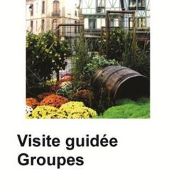 Visite guidée groupes Auray et son port 