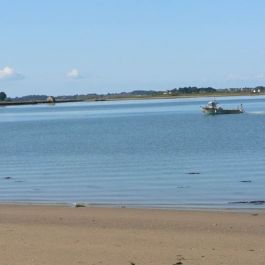 Plage La Falaise 