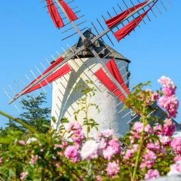 Le Moulin du Narbon 