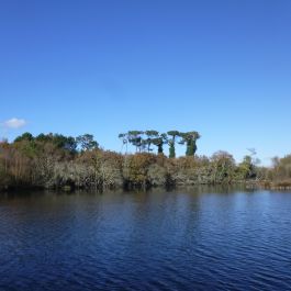 Le Polder de Mousterlin 