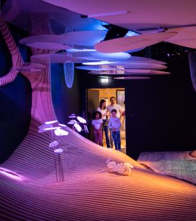 Musée immersif de la maison yves rocher