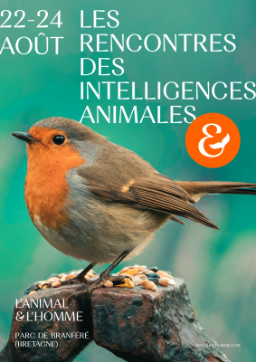 Les rencontres des intelligences animales