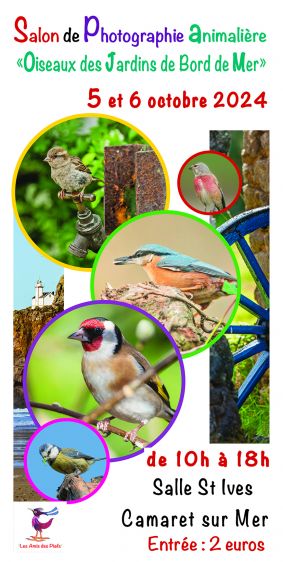 2ème salon de la photographie animalière : les oiseaux des jardins de bords de mer