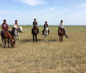 Balades à cheval